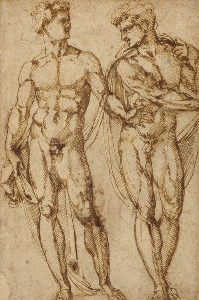 二人の男の習作（レクト）；髭を生やした男の頭部の習作（裏面） 作： Baccio Bandinelli