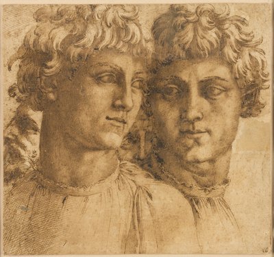 若者の頭部に関する 2 つの研究 作： Baccio Bandinelli