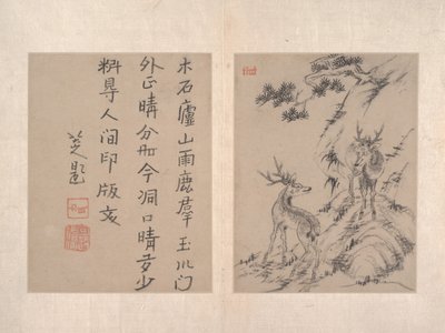 アルバム。 作： Bada Shanren