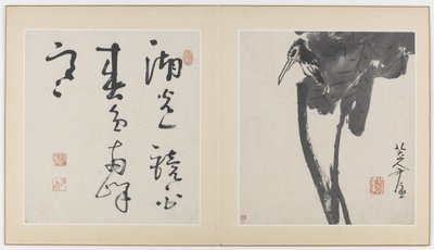 花、鳥、昆虫、魚のアルバム、清朝、1688〜89年（紙にインク）のページ 作： Bada Shanren