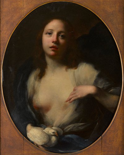 白い鳩を持つ少女の絵（キャンバスに油彩） 作： Baldassare (1611 89) Franceschini