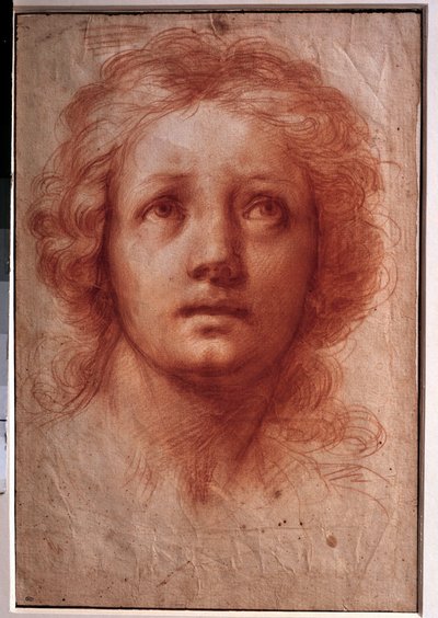 女性の頭部の研究、固定された視線は上を向いている 水墨画 フランチェスキーニ・バルダッサーレ・ディット・イル・ヴォルターラーノ（1611-1689）作。17世紀の作品。寸法0.42x0.28m。パリ、ルーヴル美術館 作： Baldassare  Franceschini