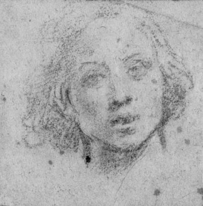若い男の頭 作： Baldassare Franceschini