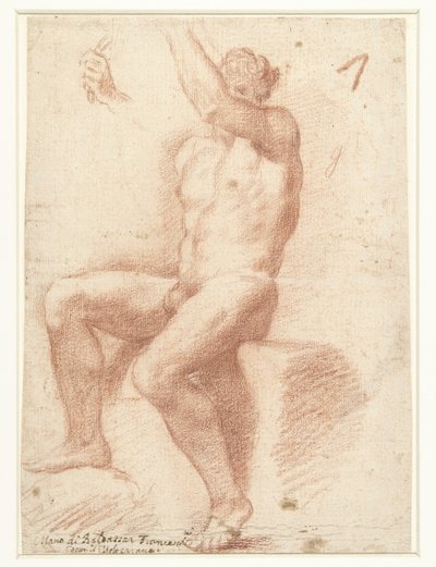 ヌード男性モデルの研究 作： Baldassare Franceschini