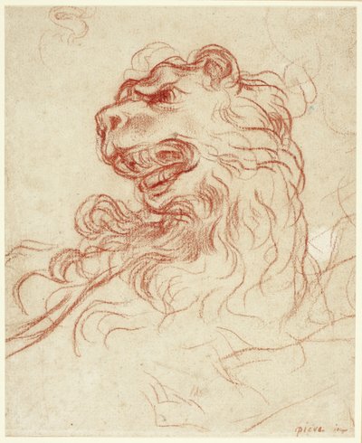 ライオンの頭の習作 作： Baldassare Franceschini