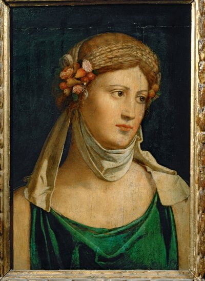  作： Baldassarre Peruzzi