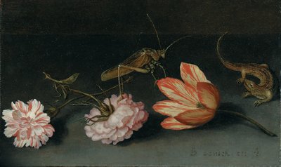 カーネーション、オウムチューリップ、バッタ、棚の上にトカゲ 作： Balthasar van der Ast