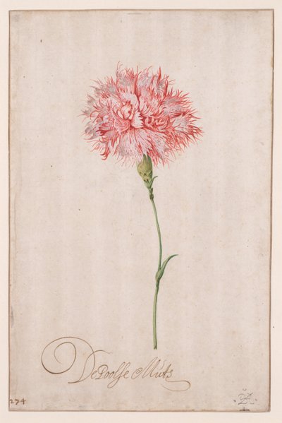 ポーランドの帽子 作： Balthasar van der Ast