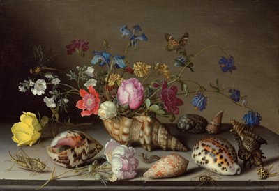 石の棚にある花、貝殻、昆虫 作： Balthasar van der Ast