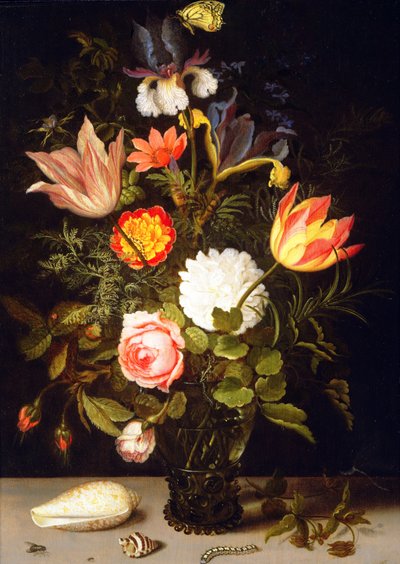 2つのシェルを持つRoemerの花の静物 作： Balthasar van der Ast