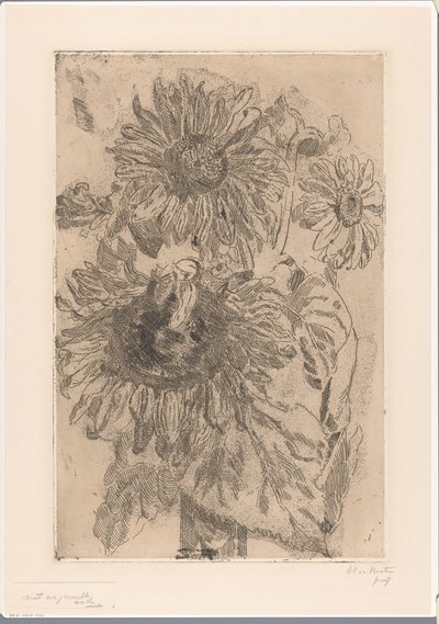 花瓶に 3 つのひまわり 作： Barbara Elisabeth van Houten (signed by artist)