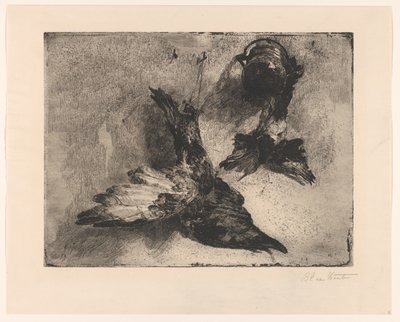 ぶら下がっている 2 つの死んだ鳥 作： Barbara Elisabeth van Houten (signed by artist)