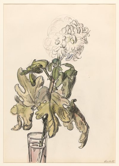 花瓶に咲く菊 作： Barbara Elisabeth van Houten