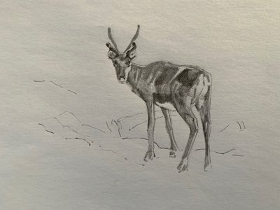 トナカイ、2019年 作： Barbara Hoogeweegen
