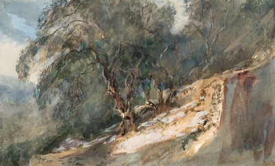 風景：節くれだった幹のある木々（水彩、グラファイト、織り紙） 作： Barbara Leigh Smith Bodichon