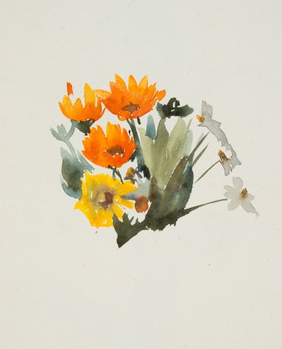 オレンジの花 (水彩画、グラファイト、織り紙) 作： Barbara Leigh Smith Bodichon