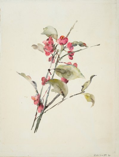 ピンクの花（紙に水彩） 作： Barbara Leigh Smith Bodichon