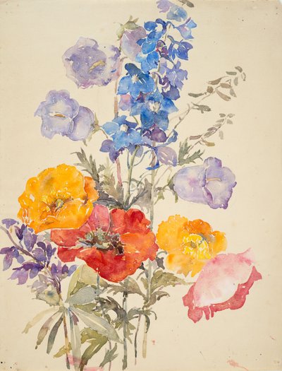 黄色、赤、青の花 (敷紙に水彩とグラファイト) 作： Barbara Leigh Smith Bodichon