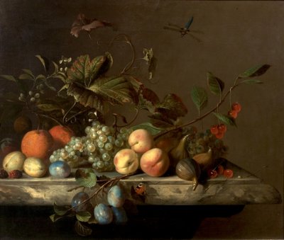 トンボの果実、1692 作： Barend or Bernardus van der Meer