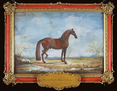 No. 2スペイン乗馬学校のバーバリー馬、アルザンデチュニス（紙にトイレ） 作： Baron Reis Eisenberg