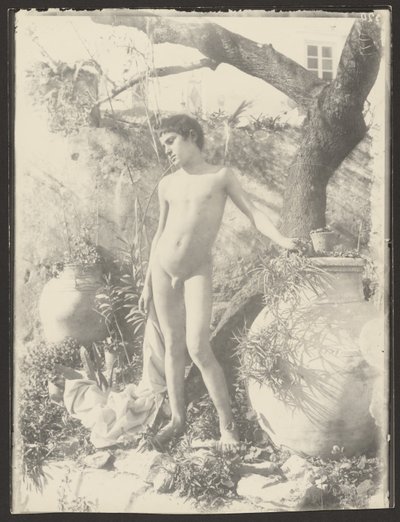 [ヌード・ユース・イン・ガーデン］ 作： Baron Wilhelm von Gloeden