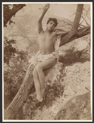 [木に登り、片腕を上げた若者] 作： Baron Wilhelm von Gloeden