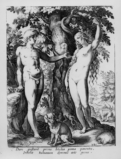 アダムとイブ、ヘンドリクゴルツィウスによって彫刻された、1585 作： Bartholomaeus Spranger