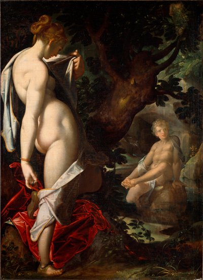 泉で水浴するヘルマフロディテを鑑賞するナイアードのサルマキス（絵画 作： Bartholomaeus Spranger