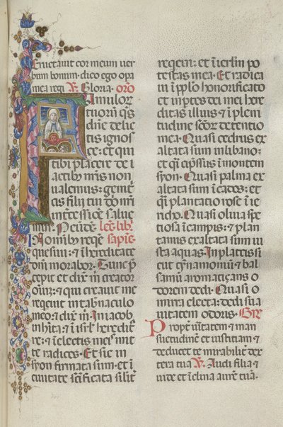 Missale：Fol。 306：聖母被昇天、1469年。 作： Bartolomeo Caporali
