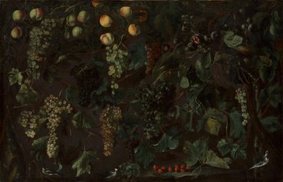ぶどうの木と果物、セキレイが 3 本、約 1615-18。 作： Bartolomeo Cavarozzi