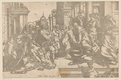 訪問 作： Bartolomeo Passarotti