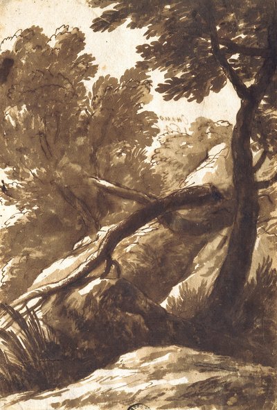 樹木が茂った風景 作： Bartolomeo Torregiani