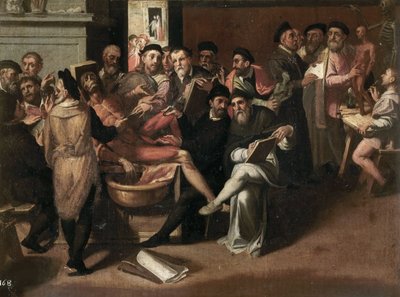パッセロッティ、バルトロメオ（1529-1592）の「解剖学の授業」。油彩・キャンバスローマ、ボルゲーゼ美術館（Galleria Borghese 作： Bartolommeo Passerotti