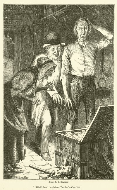ピーターゴールドスウェイトの宝物 作： Basil Bradley