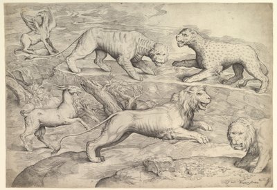 ライオン、トラ、ヒョウ、グリフィン、ヤギを含む 6 匹の動物。 1530-61。 作： Battista Franco Veneziano