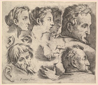 頭の研究。 作： Battista Franco Veneziano