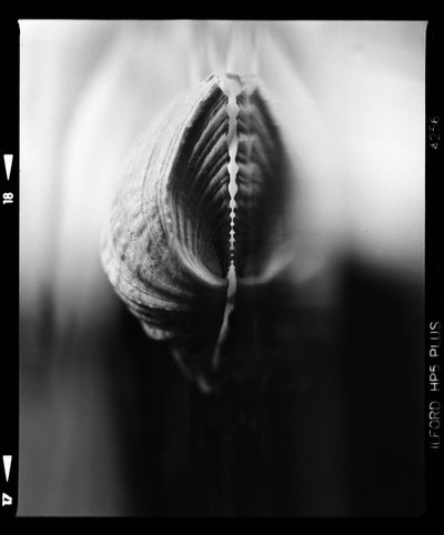  作： 