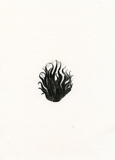 火、2017年（紙に木彫り） 作： Bella Larsson