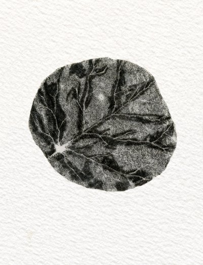 葉、2014年（紙に木彫り） 作： Bella Larsson