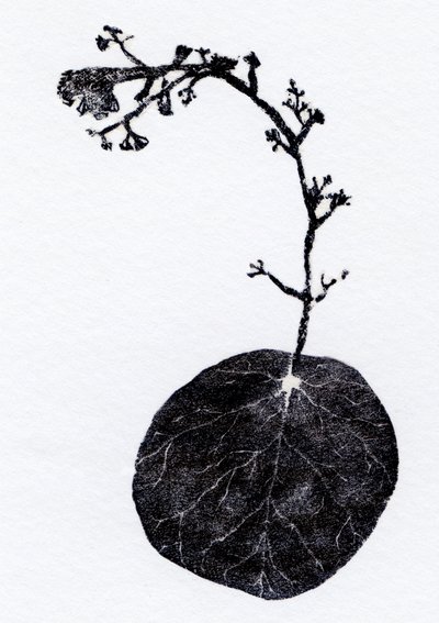 苔の葉、2014年（木版画、紙にコラージュ） 作： Bella Larsson