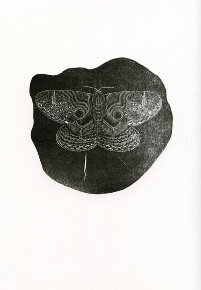 ナイトバタフライ、2016年（紙に木版画） 作： Bella Larsson