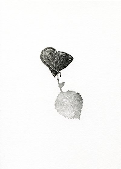 サスペンス、2014（紙に木彫り） 作： Bella Larsson
