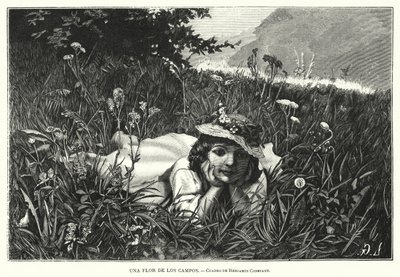 畑の花」（リトグラフ 作： Benjamin  Constant