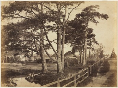 スコッチファー、ホークハースト 作： Benjamin Brecknell Turner