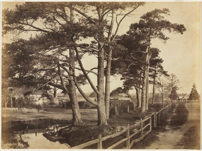 スコッチファース、ホークハースト、1853年。 作： Benjamin Brecknell Turner