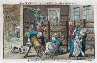 カイコへの給餌方法、1753年 作： Benjamin Cole