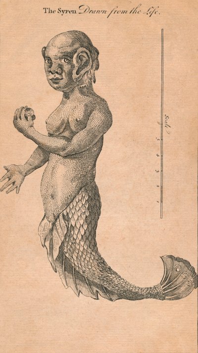生命から引き出されたサイレン、1759 作： Benjamin Cole
