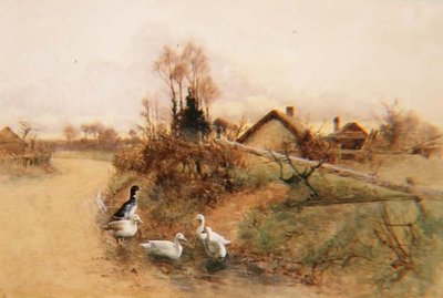 Dabbling Ducks 作： Benjamin D. Sigmund