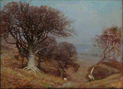 「Quantocks のブナ」、1885-1924 年 作： Benjamin Haughton