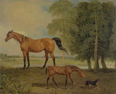 子馬とテリアの繁殖牝馬（キャンバスに油彩） 作： Benjamin Marshall